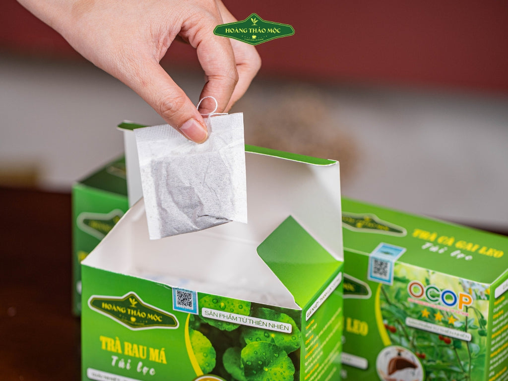 Hoang Thao Moc Tea - Pennywort Tea Bag For Reducing Heat Body & Detoxifing 60 Packet x 2.5g