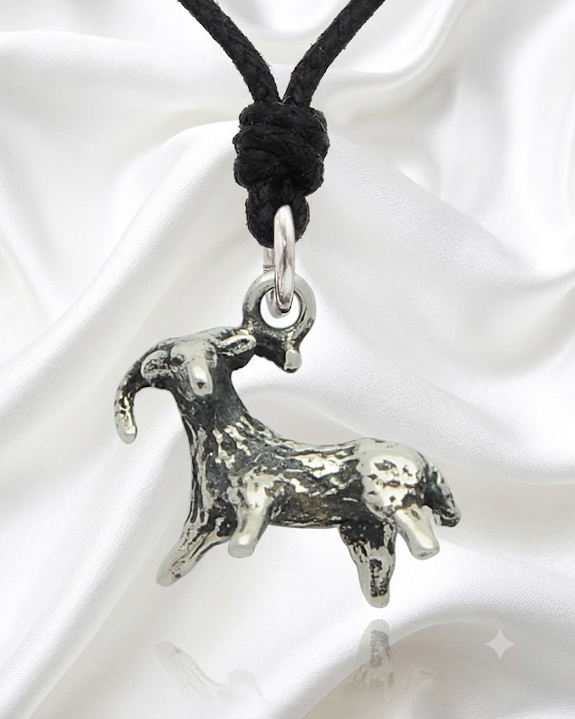Astrology Gold Brass Sterling Silver Charm Necklace Pendant Horoscope Zodiac