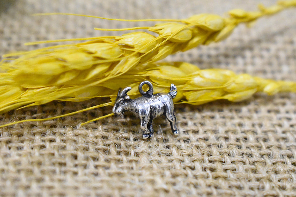 Year Of Zodiac Silver Pewter Gold Brass Charm Necklace Pendant Jewelry