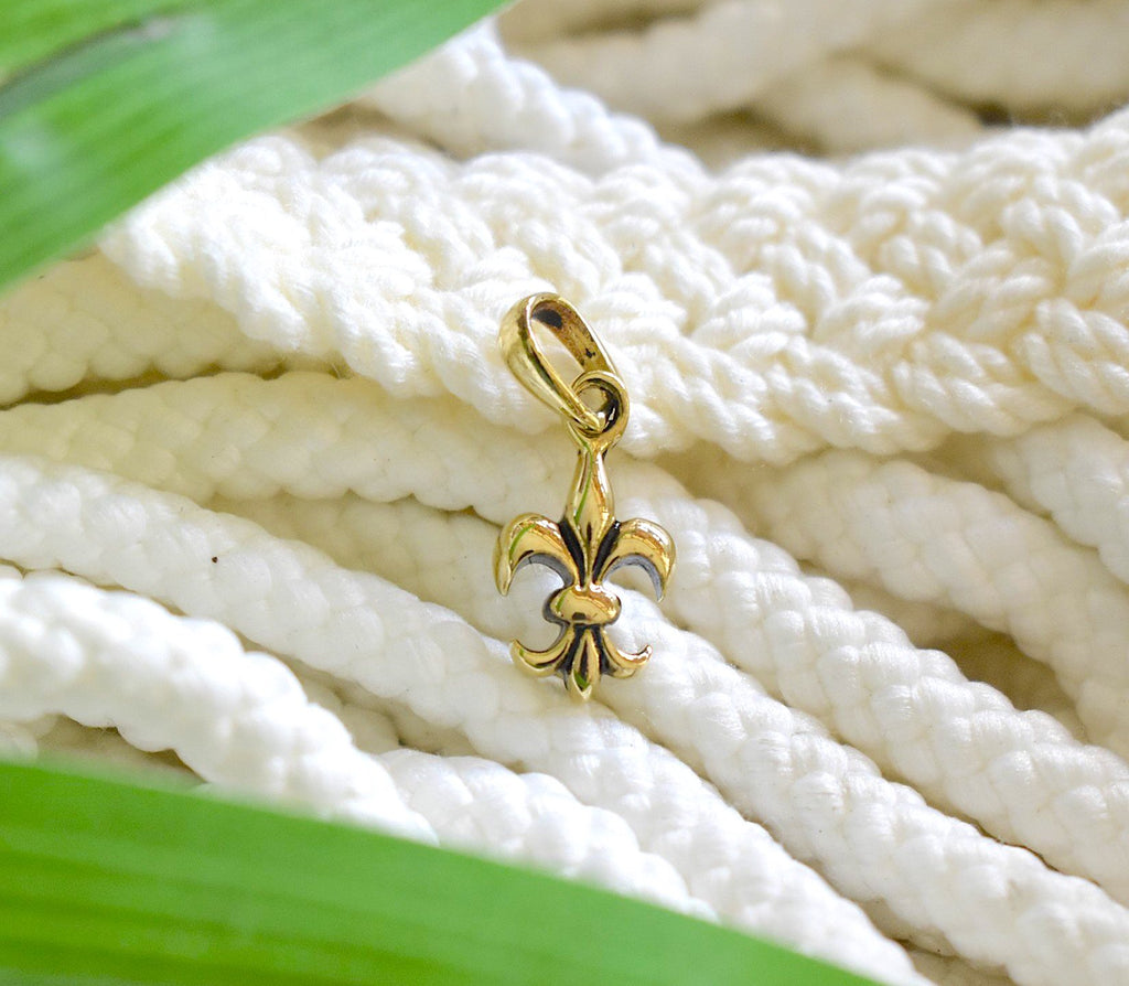 French Fleur De Lis 92.5 Sterling Silver Gold Brass Necklace Pendant Jewelry