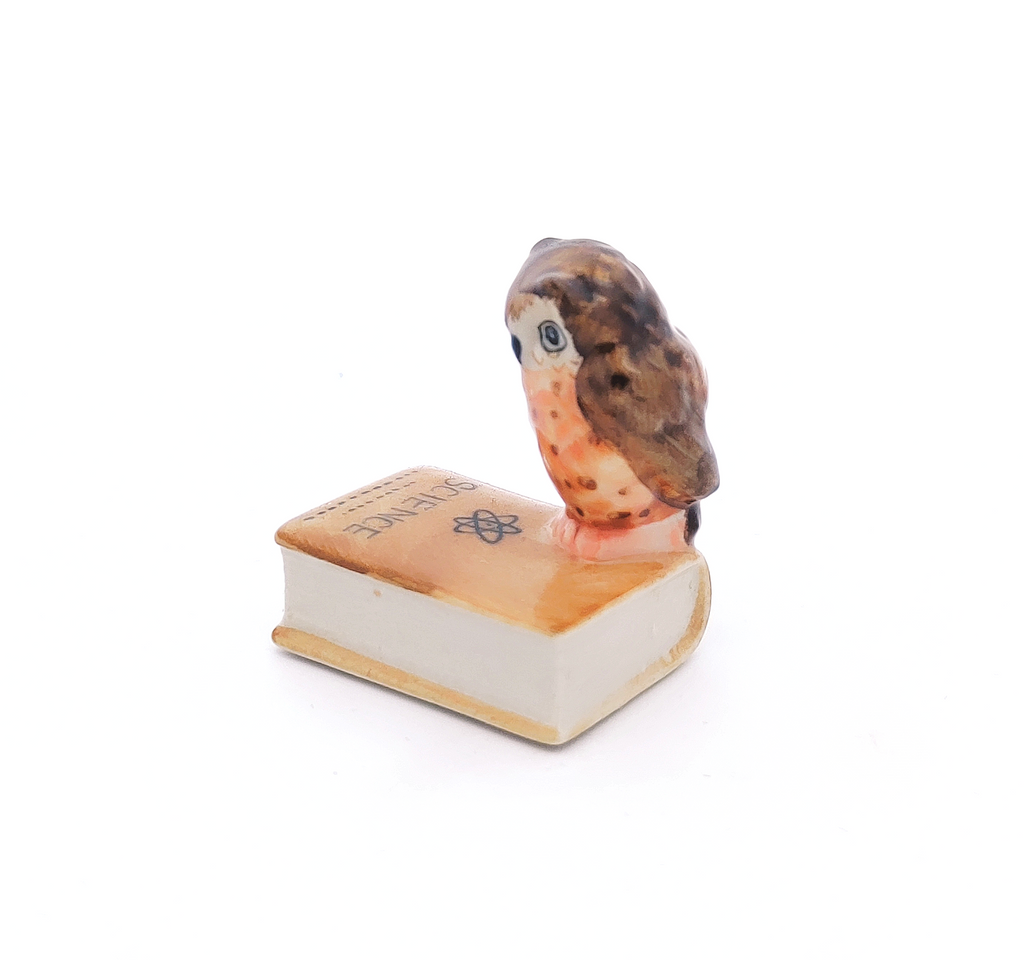 Light Brown Owl Bird on Science Book Ceramic Figurine Tiny Handicraft Miniature Dollhouse