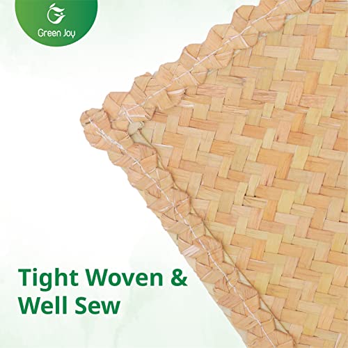 Green Joy Grass Placemats for Dining Table Waterproof - Rectangular Placemats β 12 x 17 Inches - Grass Placemats, Green Placemats, Placemat Set for Dining Table Kitchen Or Picnic Table Decor - Set of 4