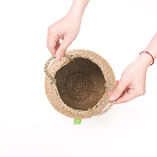 Greenjoy Natural Woven Basket for Storage - Set of 2 - Belly Basket- Plant Basket - Ideal Plant Pot, Laundry & Picnic Basket for Home or Outdoor Use (S L, 2)