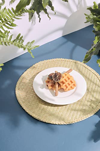 Woven Placemats for Dining Table - Green Placemats, Dining Table Set, Woven Placemats β Size 14.6 Inch β Heat Resistant, Non-Slip, Durable β Braided Placemats for Kitchen Table- Farmhouse Placemats Set of 6