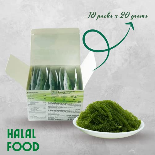 GCAP Sea Grapes - Dehydrated lato - Organic seaweed - Umibudo - Green caviar - Caulerpa lentillifera - Delicious Crunchy Healthy Freshness from the Ocean (7.055 OZ /200g of 10 packs)