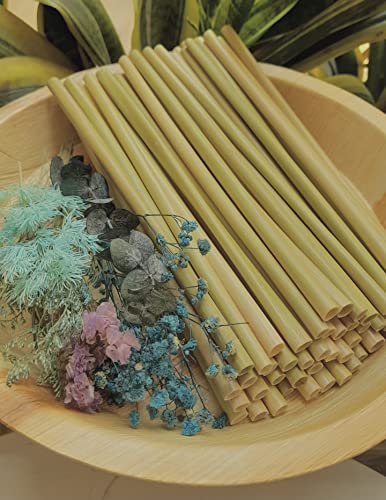 Green Joy Grass Straws - 100% Natural - Eco-friendly - Drinking Tubes - Plastic Free - Compostable - Single-use - Crazy Straws Alternative to Plastic Straws, Paper Straws, Bamboo Straws 100 Packs