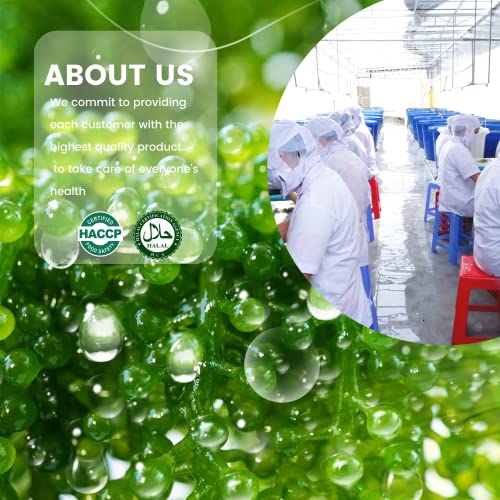 GCAP Sea Grapes Green Food - Dehydrated lato, Organic seaweed - Umibudo - Green caviar - Caulerpa lentillifera - Delicious Crunchy Healthy Freshness from the Ocean (3.53 OZ/100g)