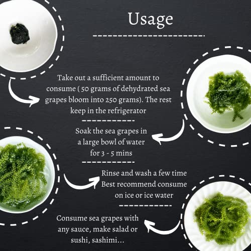 GCAP Sea Grapes Green Food - Dehydrated lato, Organic seaweed - Umibudo - Green caviar - Caulerpa lentillifera - Delicious Crunchy Healthy Freshness from the Ocean (3.53 OZ/100g)