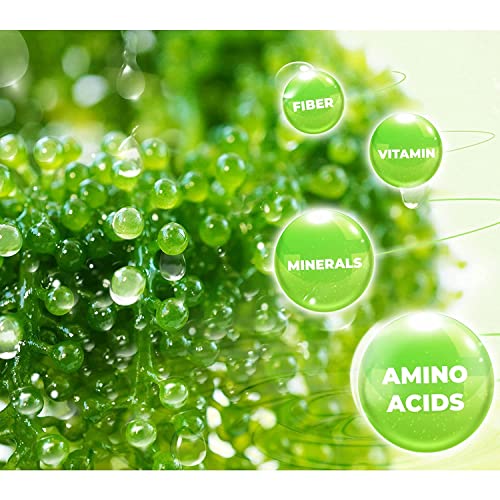 GCAP Sea Grapes - Dehydrated lato - Organic seaweed - Umibudo - Green caviar - Caulerpa lentillifera - Delicious Crunchy Healthy Freshness from the Ocean (7.055 OZ /200g of 10 packs)