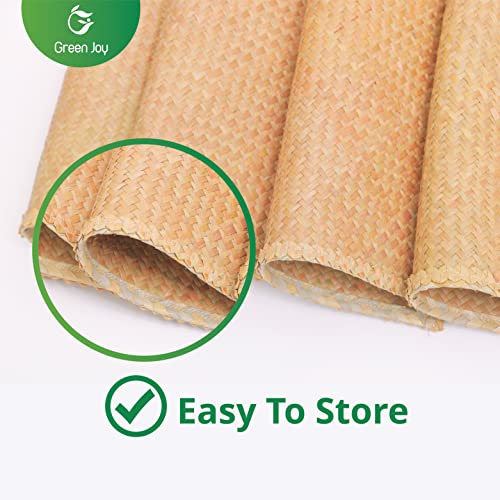 Green Joy Grass Placemats for Dining Table Waterproof - Rectangular Placemats β 12 x 17 Inches - Grass Placemats, Green Placemats, Placemat Set for Dining Table Kitchen Or Picnic Table Decor - Set of 4