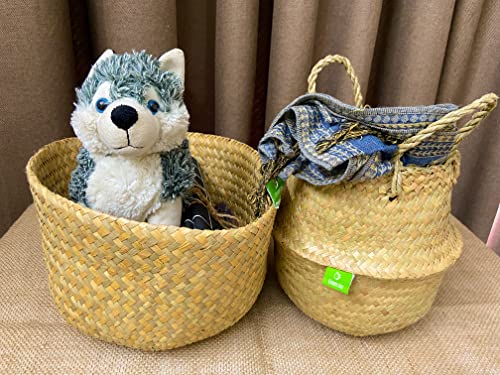 Greenjoy Natural Woven Basket for Storage - Set of 2 - Belly Basket- Plant Basket - Ideal Plant Pot, Laundry Basket, Picnic Basket for Home or Outdoor Use (S L, 2)
