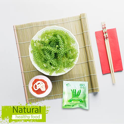 GCAP Sea Grapes – PREMIUM – Dehydrated seaweed, Umibudo, Green Caviar, Lato seaweed - A great superfood for your health, boosting immune system (4.23 OZ of 6 packs)