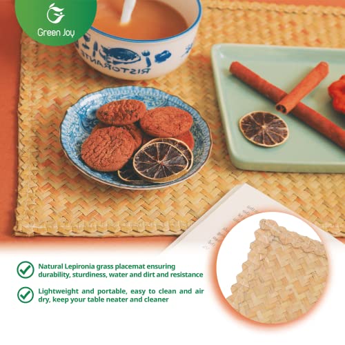 Green Joy Grass Placemats for Dining Table Waterproof - Rectangular Placemats β 12 x 17 Inches - Grass Placemats, Green Placemats, Placemat Set for Dining Table Kitchen Or Picnic Table Decor - Set of 4