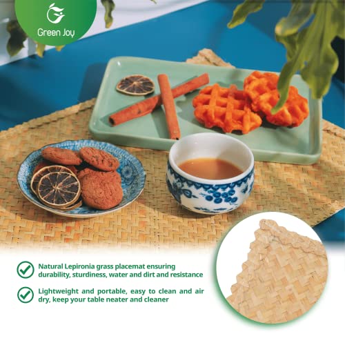 Green Joy Grass Placemats for Dining Table Waterproof - Rectangular Placemats β 12 x 17 Inches - Grass Placemats, Green Placemats, Placemat Set for Dining Table Kitchen Or Picnic Table Decor - Set of 4