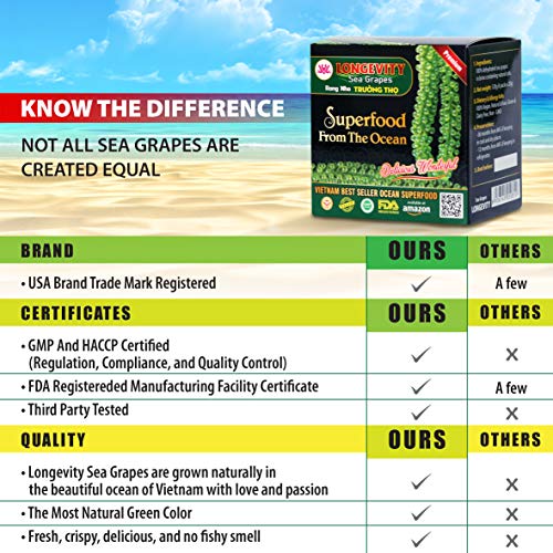 Sea Grapes - Umibudo Green Caviar - Dehydrated, Marinated in Saltwater by LONGEVITY | Enhance Health, Boosting Immune System, Valued Natural Gift From Sea (Original, 600g (21.2 oz))