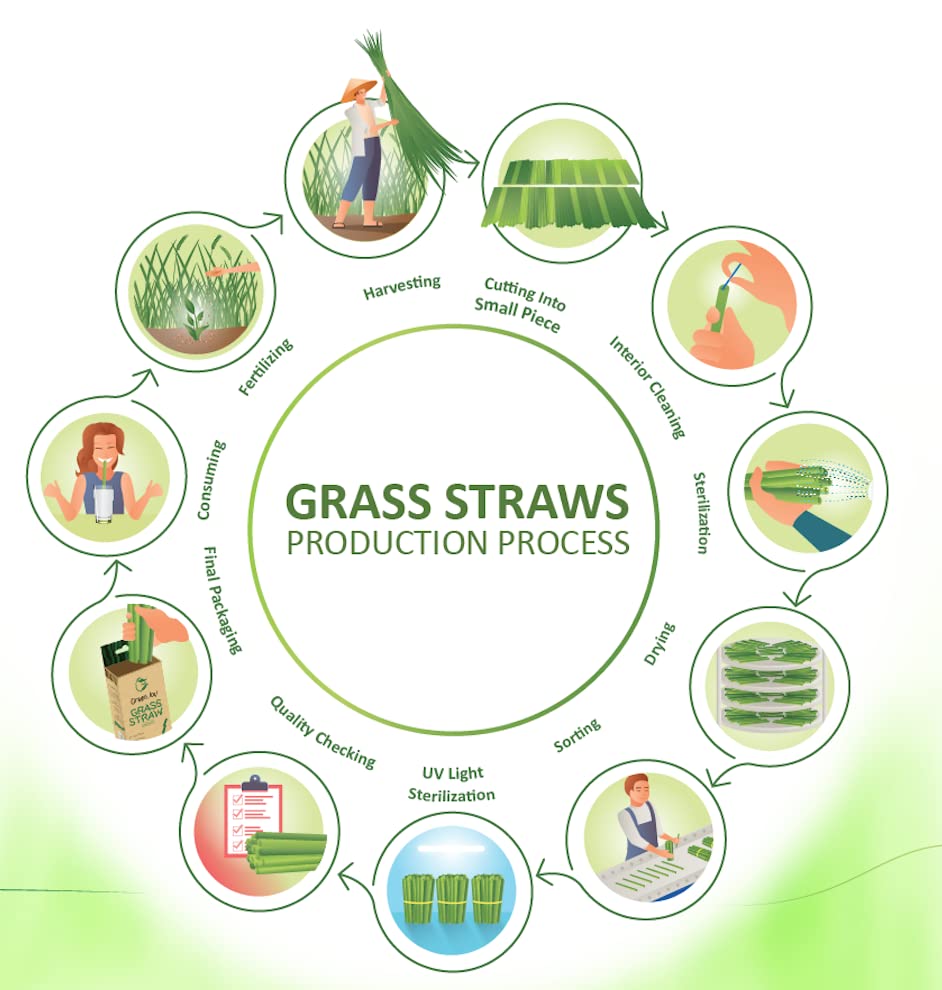 Green Joy Grass Straws - 100% Natural - Eco-friendly - Drinking Tubes - Plastic Free - Compostable - Single-use - Crazy Straws Alternative to Plastic Straws, Paper Straws, Bamboo Straws 100 Packs