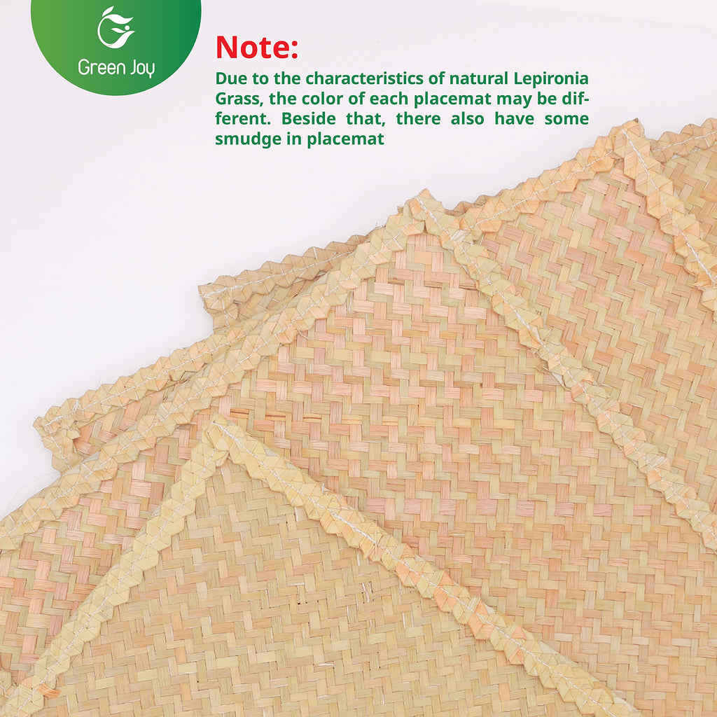 Green Joy Grass Placemats for Dining Table Waterproof - Rectangular Placemats – 12 x 17 Inches - Grass Placemats, Green Placemats, Placemat Set for Dining Table Kitchen Or Picnic Table Decor - Set of 4