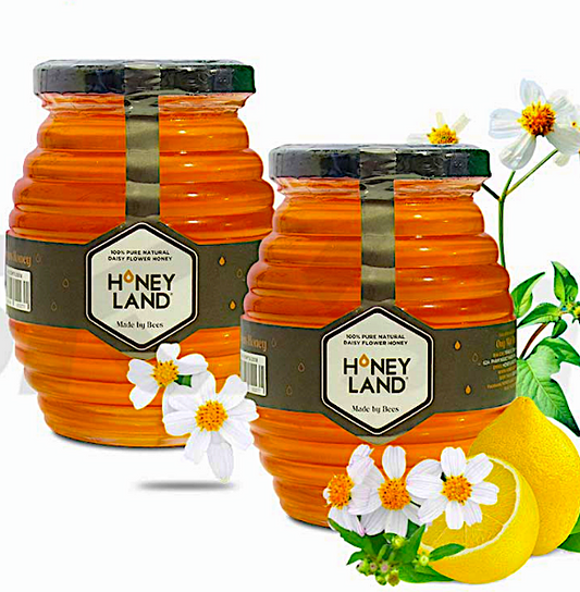 Honey Land - Hoa Xuyen Chi Honey 100& Pure From Naturl Daisy Flower Honey