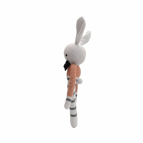 Mister Long-legged Bunny Handmade Amigurumi Stuffed Toy Knit Crochet Doll VAC
