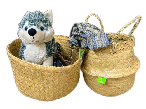 Natural Woven Basket for Storage - Set of 2 - Belly Basket- Plant Basket - Ideal Plant Pot, Laundry & Picnic Basket for Home or Outdoor Use