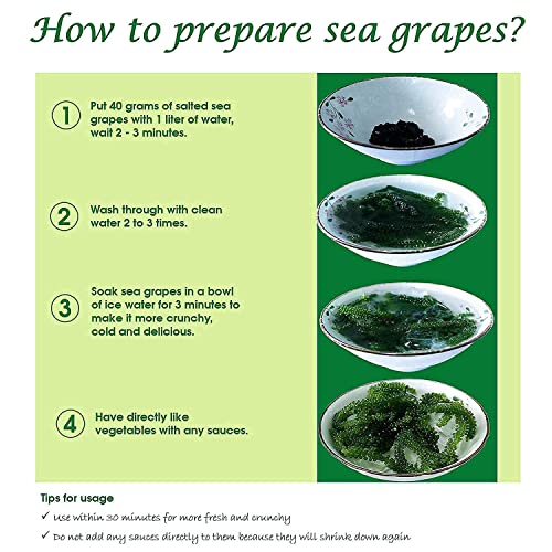 GREEN FOOD Sea Grapes - Dehydrated lato, Organic seaweed - Umibudo - Green caviar - Caulerpa lentillifera - Delicious Crunchy Healthy Freshness from the Ocean (3.53 OZ/100g of 5 packs), Whole