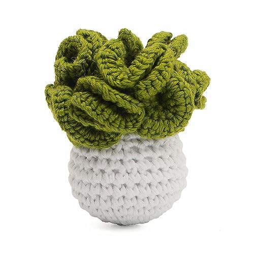 Cute Green Cabbage Handmade Amigurumi Stuffed Toy Knit Crochet Doll VAC