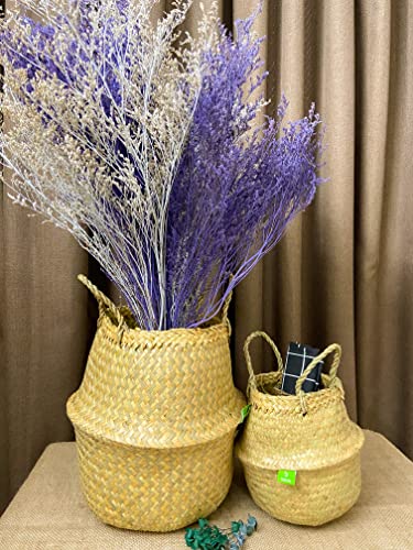Greenjoy Natural Woven Basket for Storage - Set of 2 - Belly Basket- Plant Basket - Ideal Plant Pot, Laundry & Picnic Basket for Home or Outdoor Use (S L, 2)