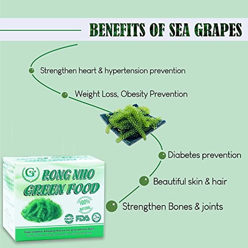 GCAP Sea Grapes - Dehydrated lato - Organic seaweed - Umibudo - Green caviar - Caulerpa lentillifera - Delicious Crunchy Healthy Freshness from the Ocean (7.055 OZ /200g of 10 packs)