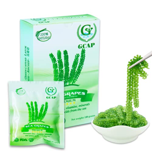 GCAP Sea Grapes – PREMIUM – Dehydrated seaweed, Umibudo, Green Caviar, Lato seaweed - A great superfood for your health, boosting immune system (4.23 OZ of 6 packs)