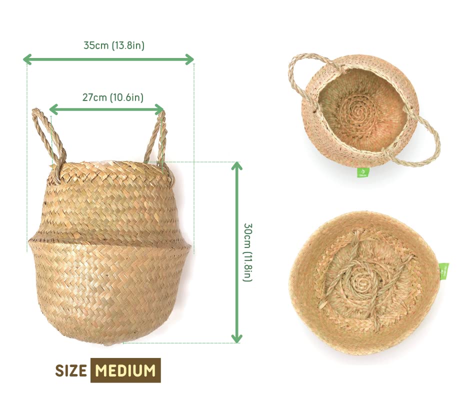 Greenjoy Natural Woven Basket for Storage - Set of 2 - Belly Basket- Plant Basket - Ideal Plant Pot, Laundry Basket, Picnic Basket for Home or Outdoor Use (S L, 2)